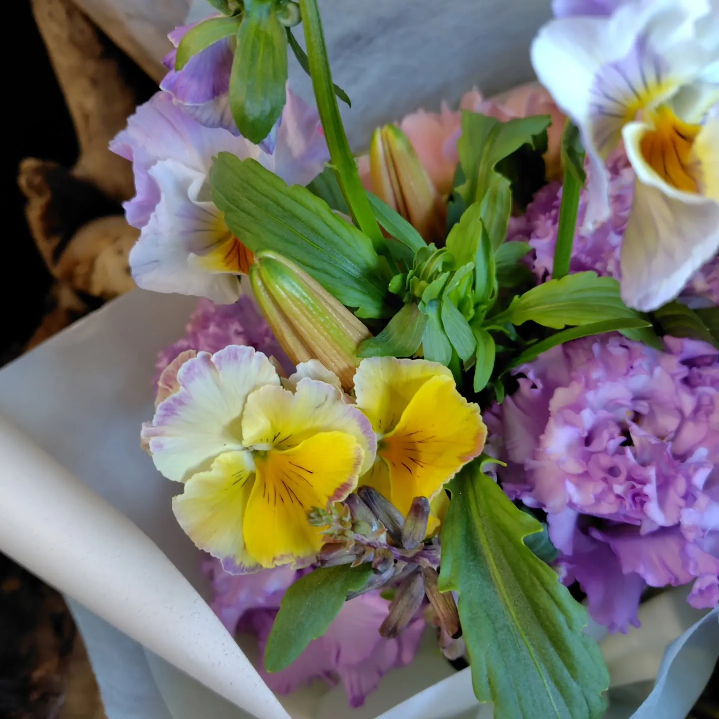 お日様出てきました