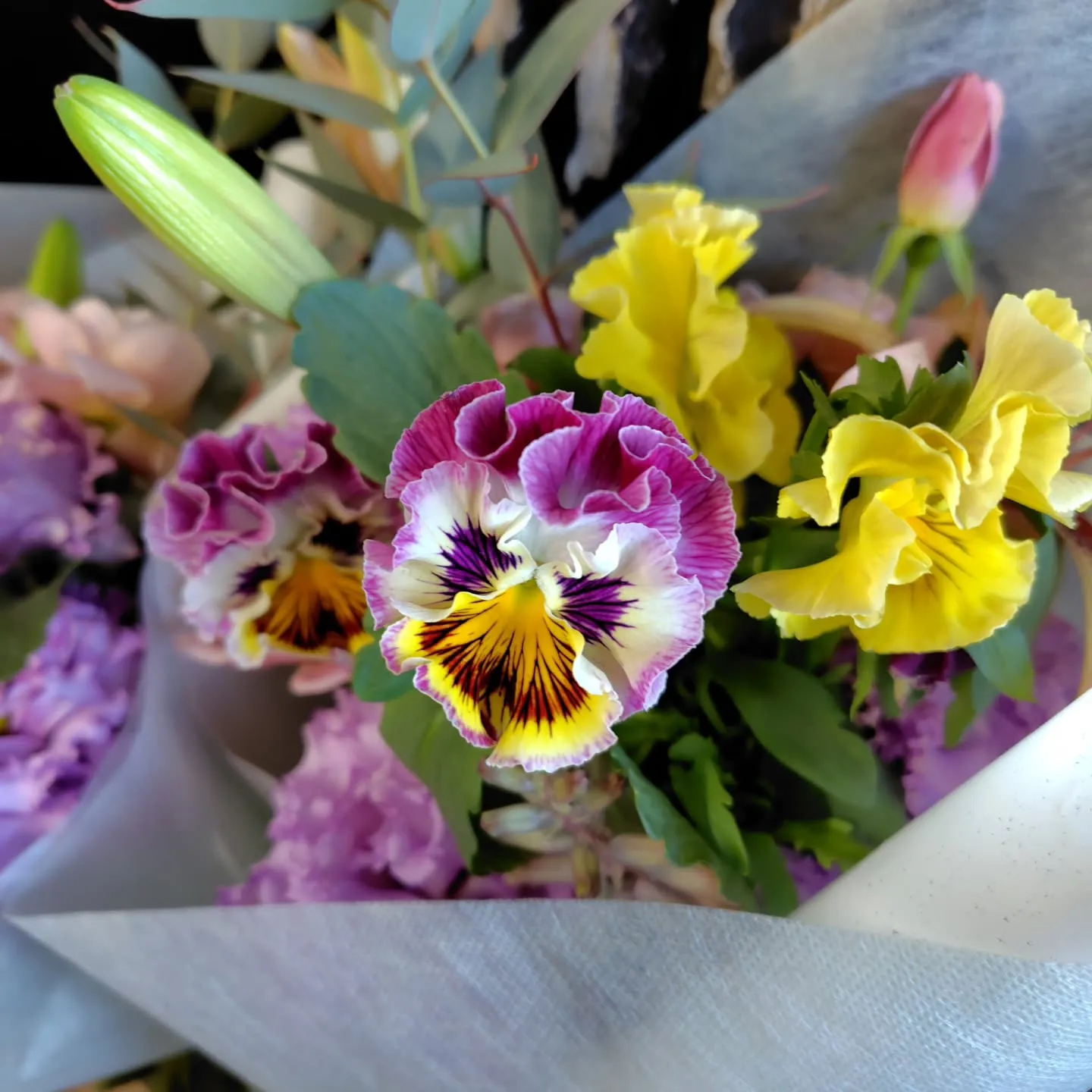 お日様出てきました