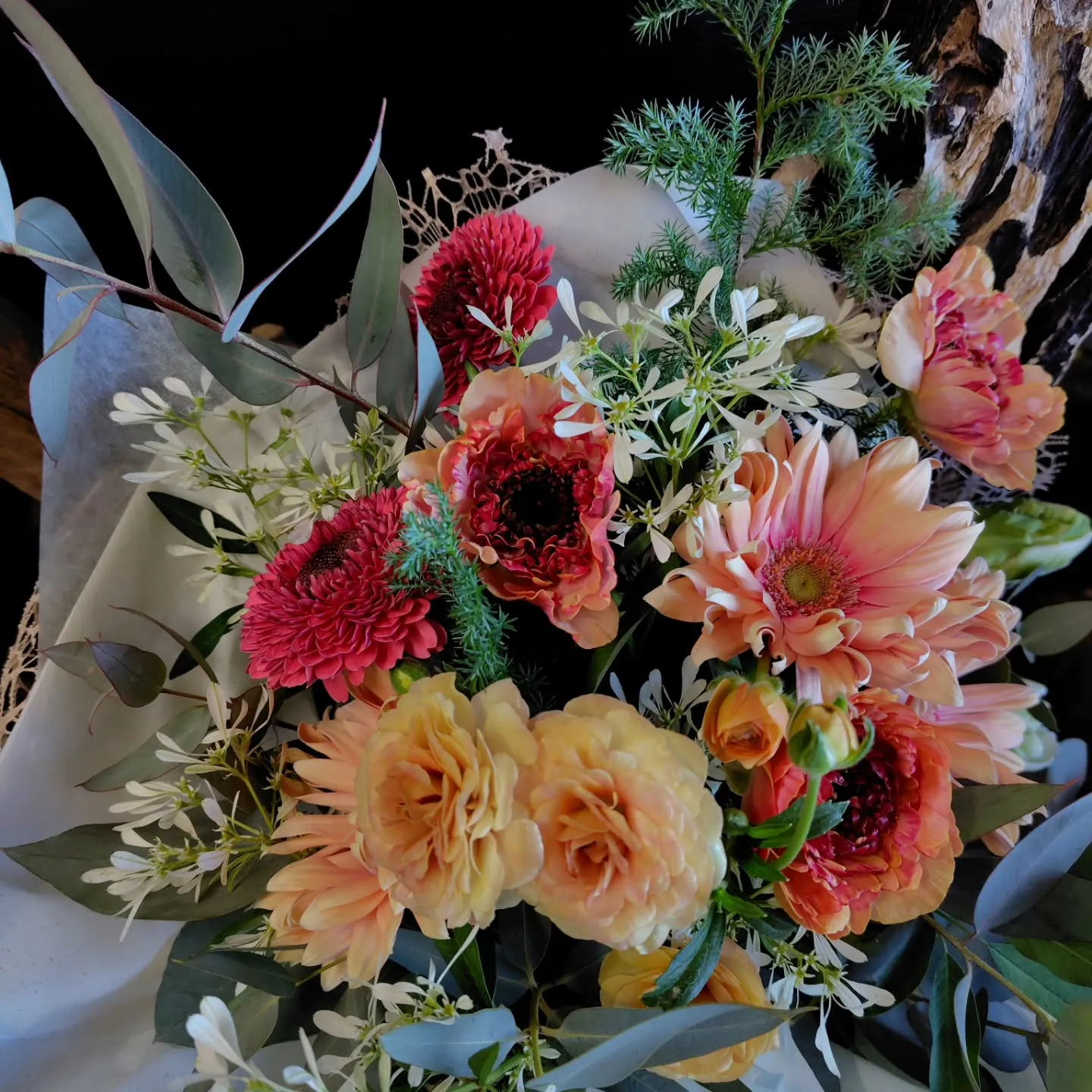 お日様出てきました