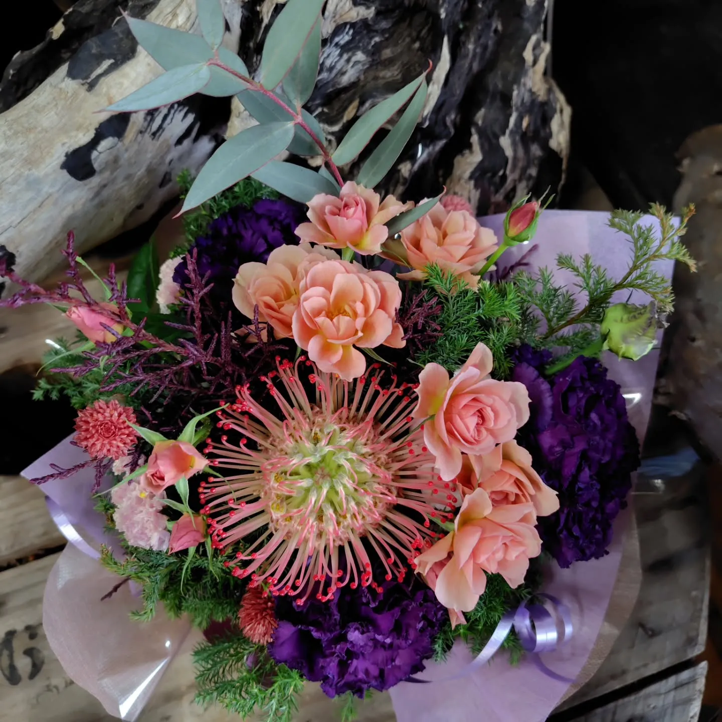 お日様出てきました