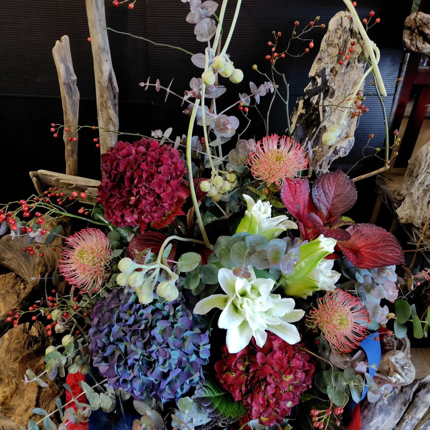 お日様出てきました