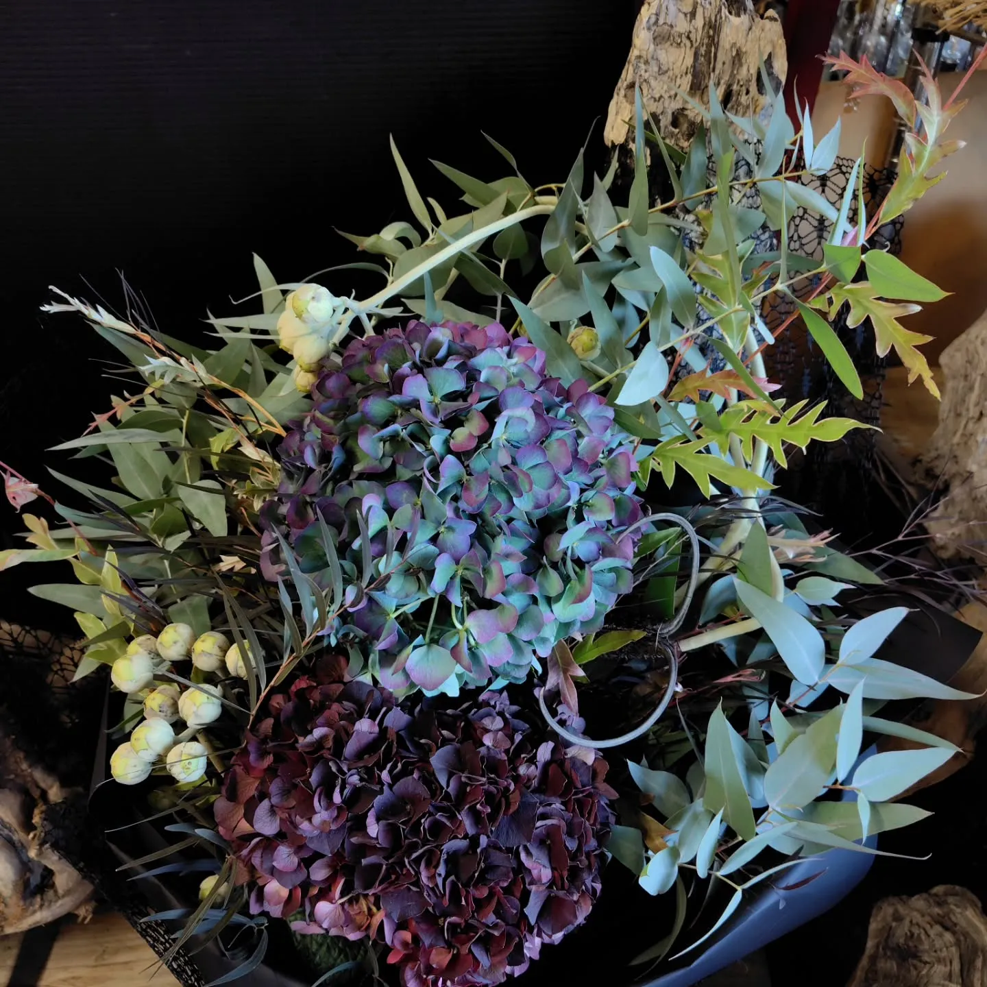 お日様出てきました