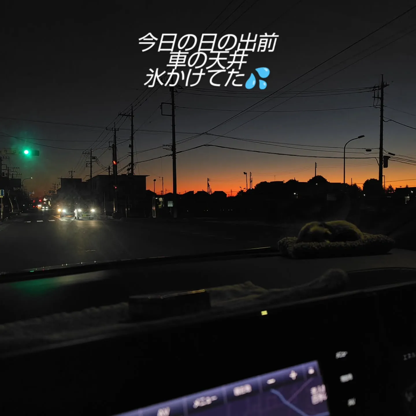 お日様出てきました