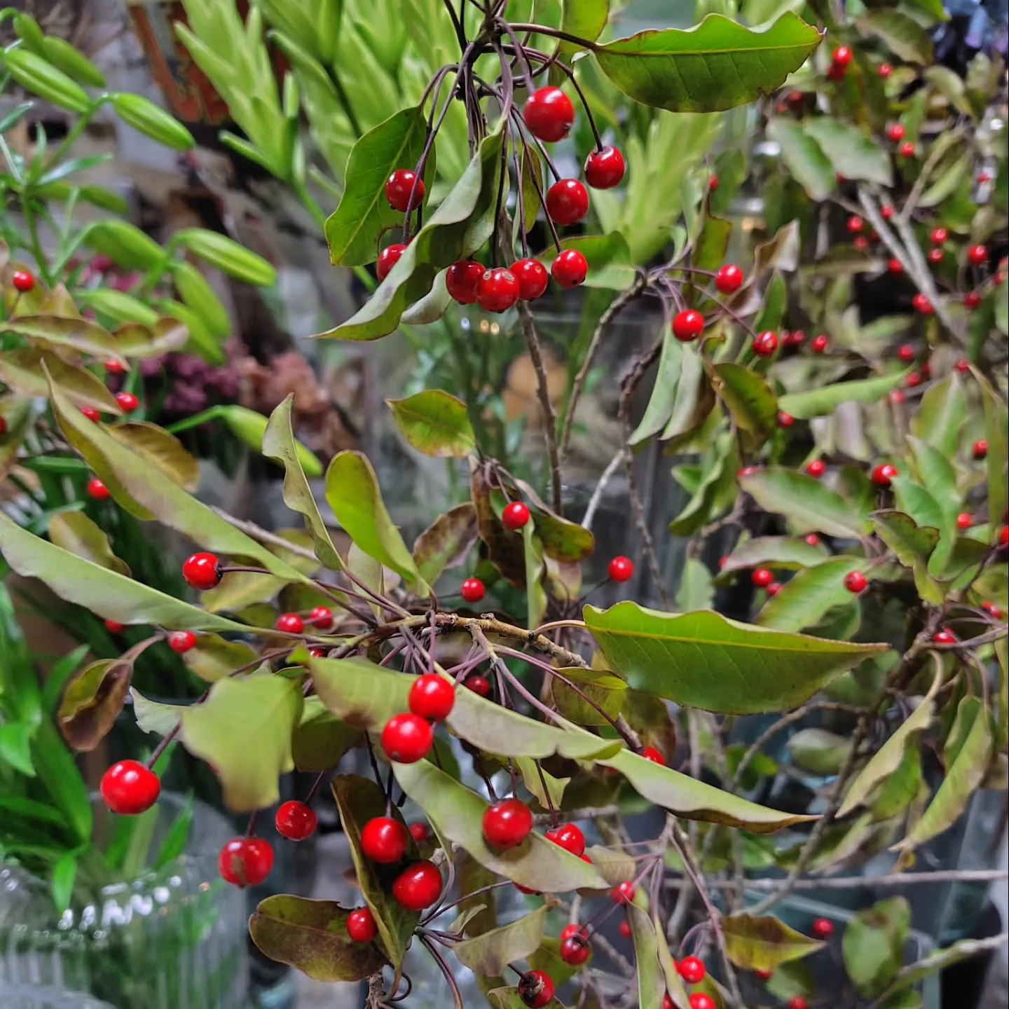 そよそよ　さらさら