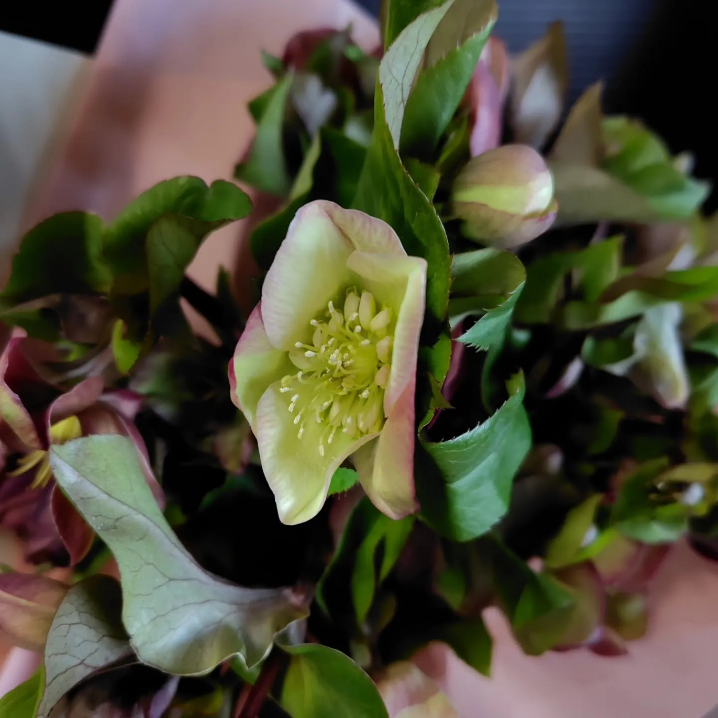 お店に添えるお花