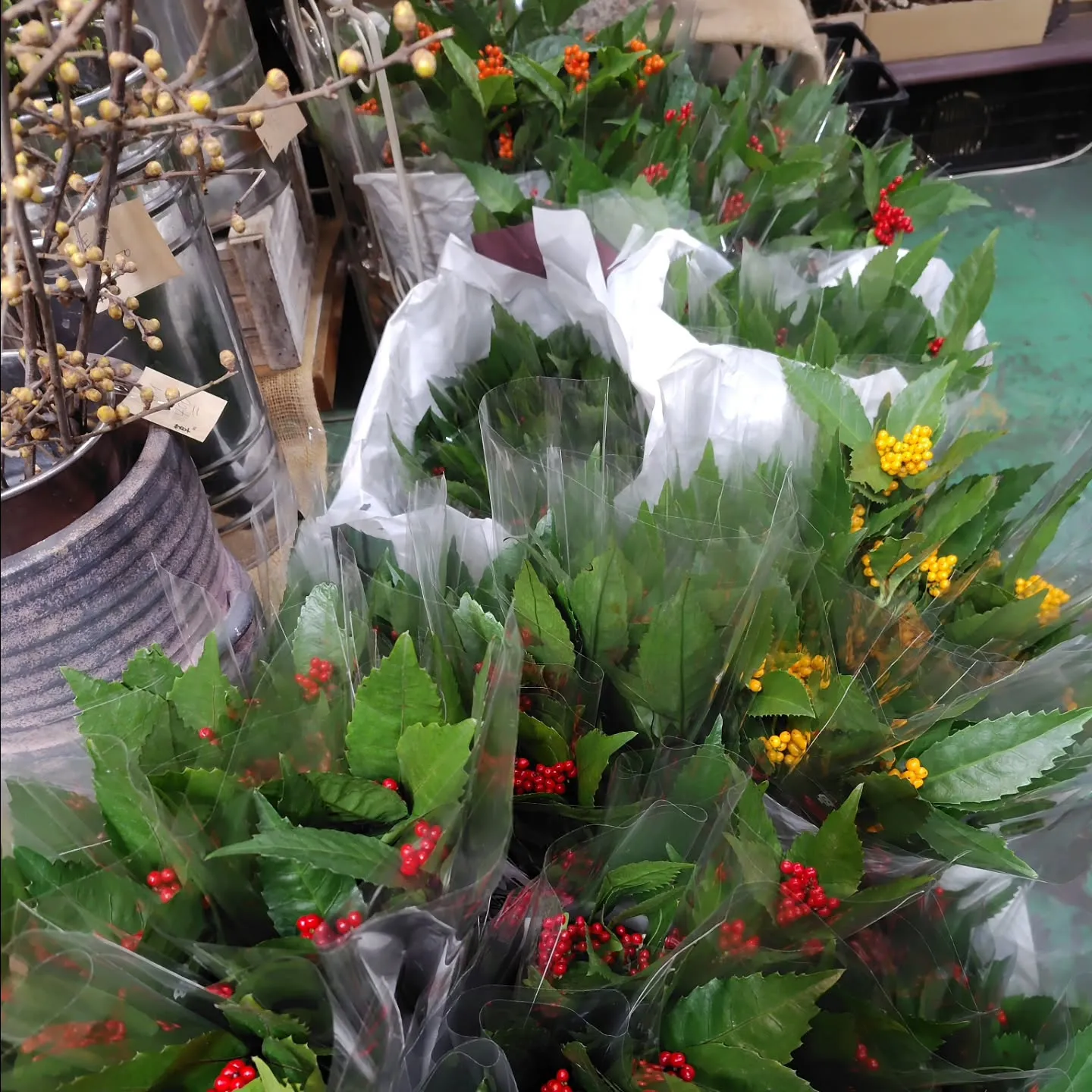 ๅไธกใๅฝฉใ้ฎฎใใ