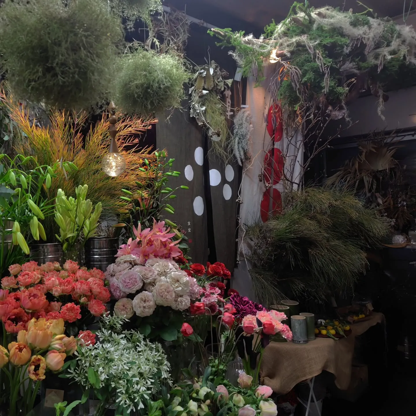 千両 彩り鮮やか