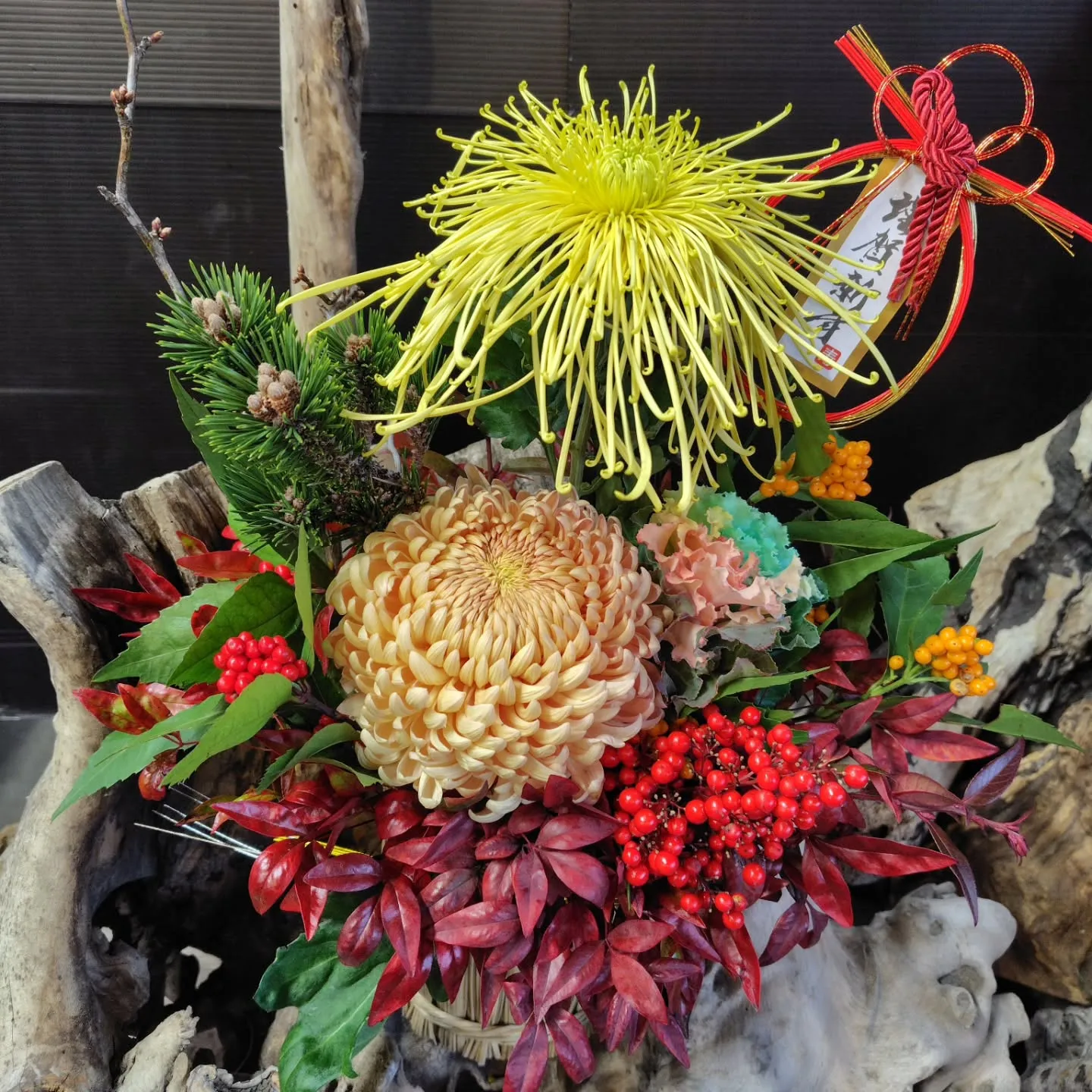 はじまりました😊