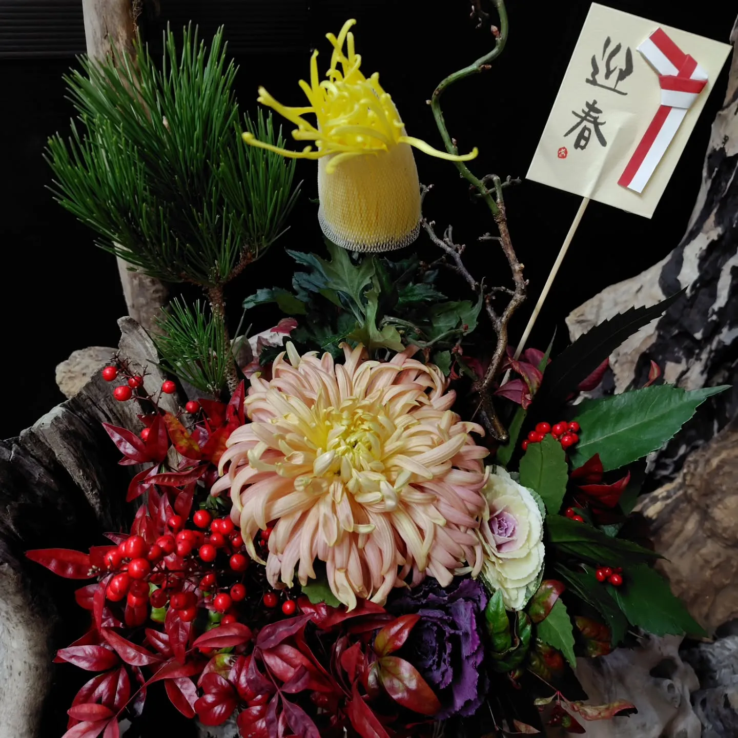 はじまりました😊