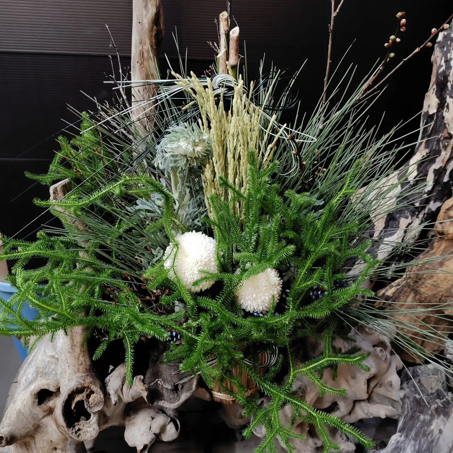 はじまりました😊