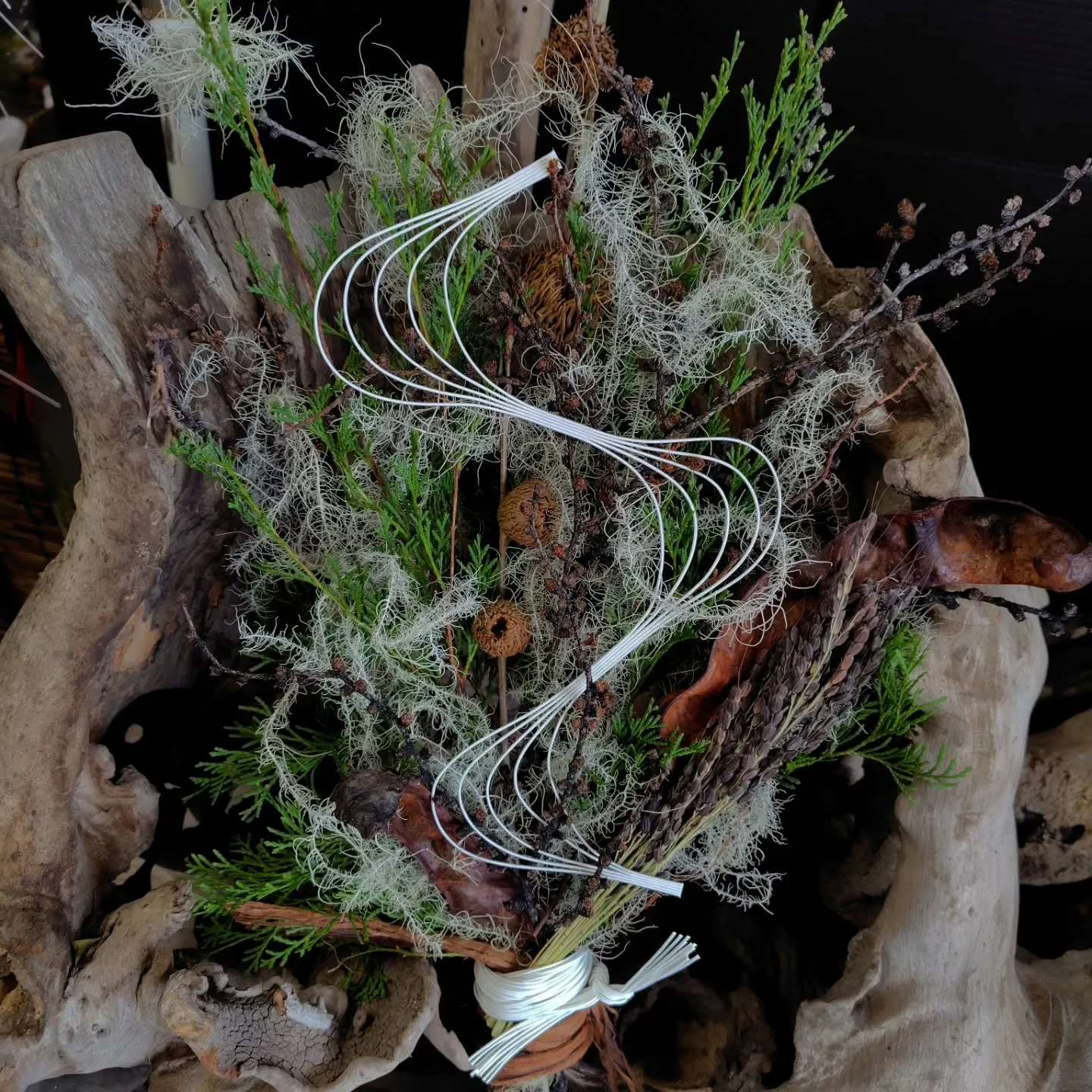 はじまりました😊