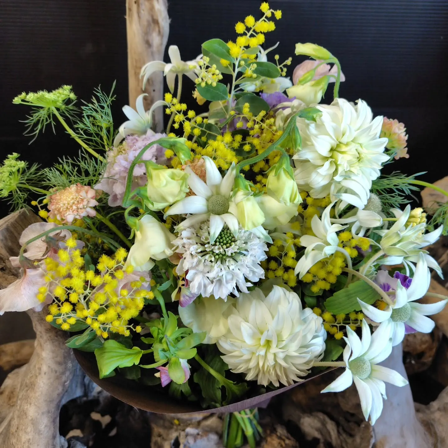 おはようさん🌞