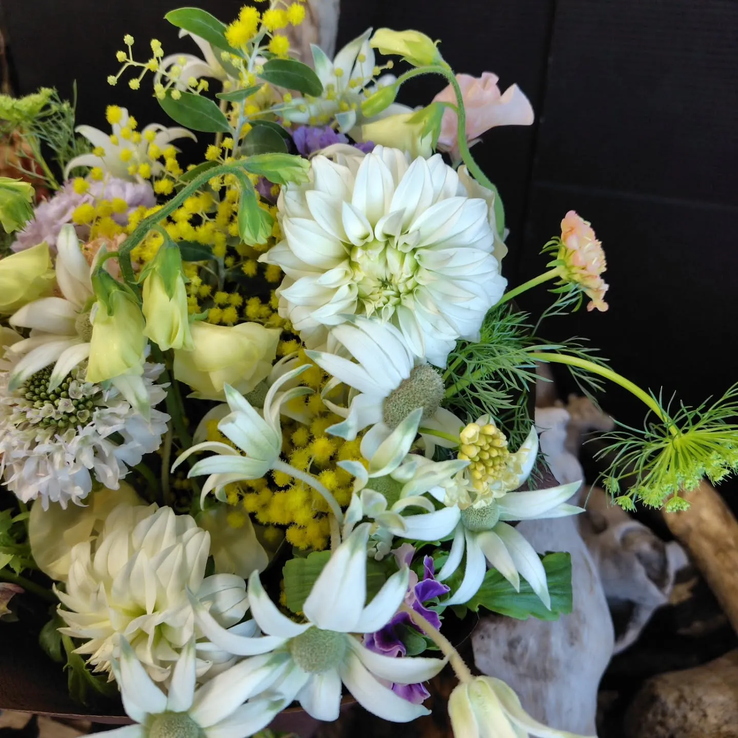 おはようさん🌞