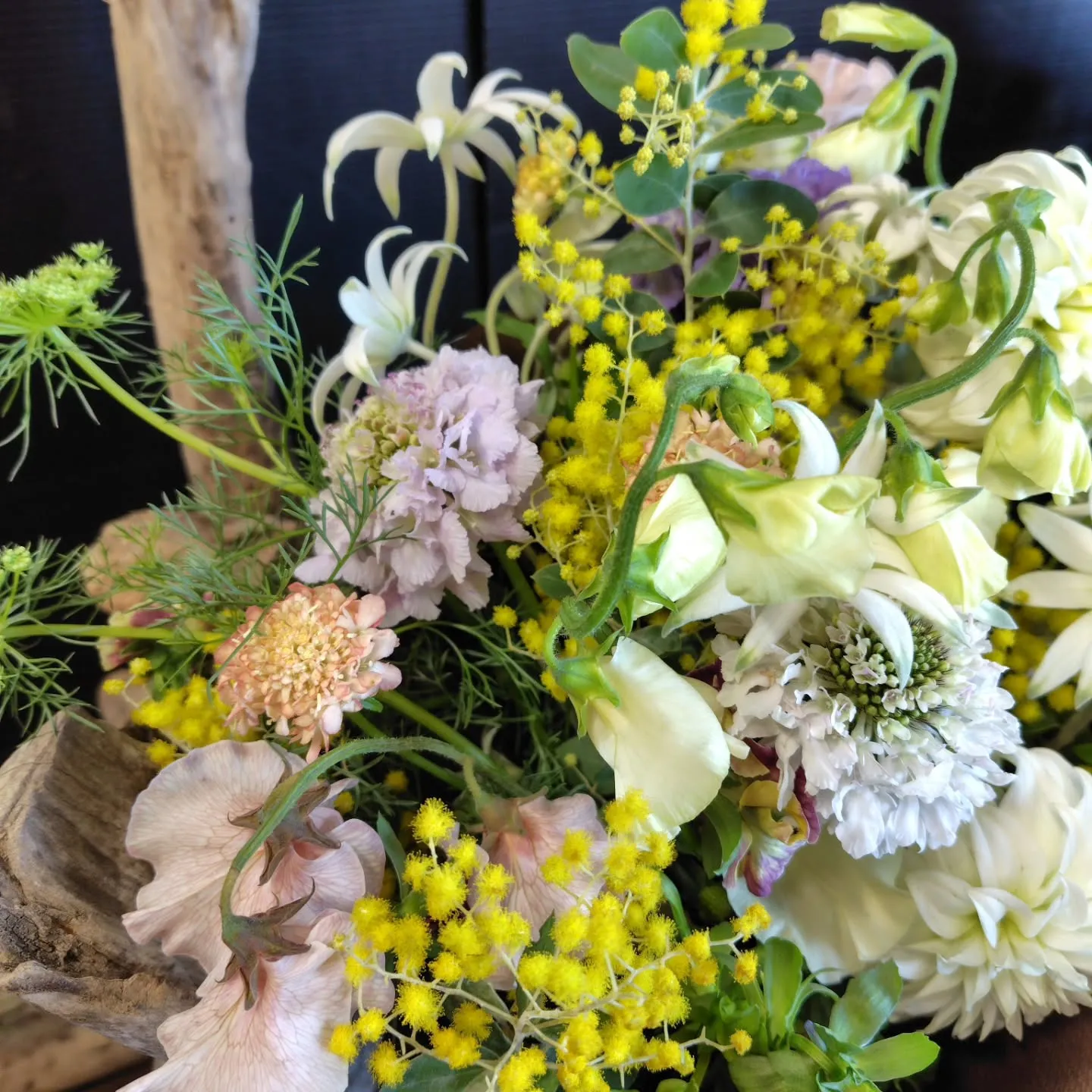 おはようさん🌞