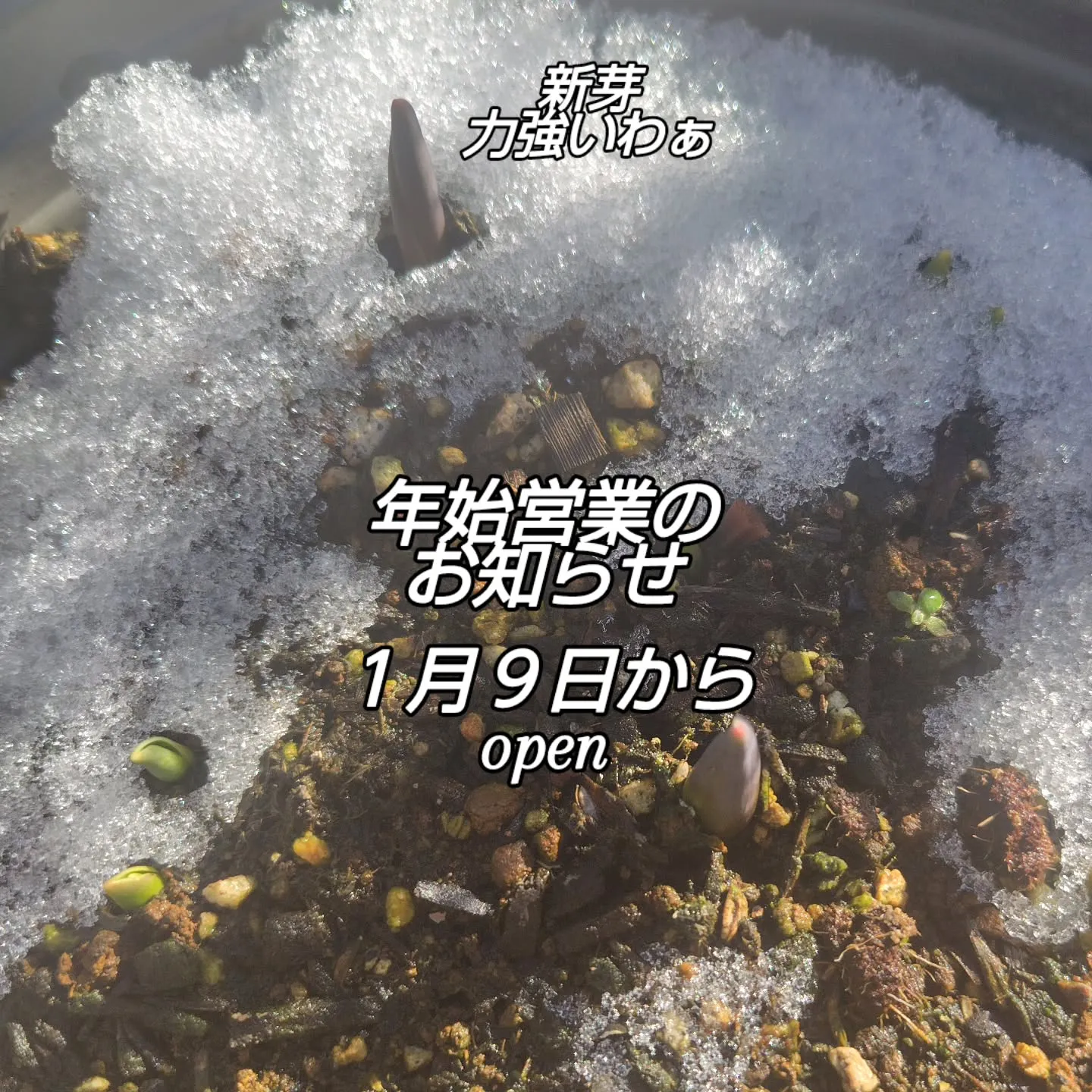 仕事始めのお知らせです。