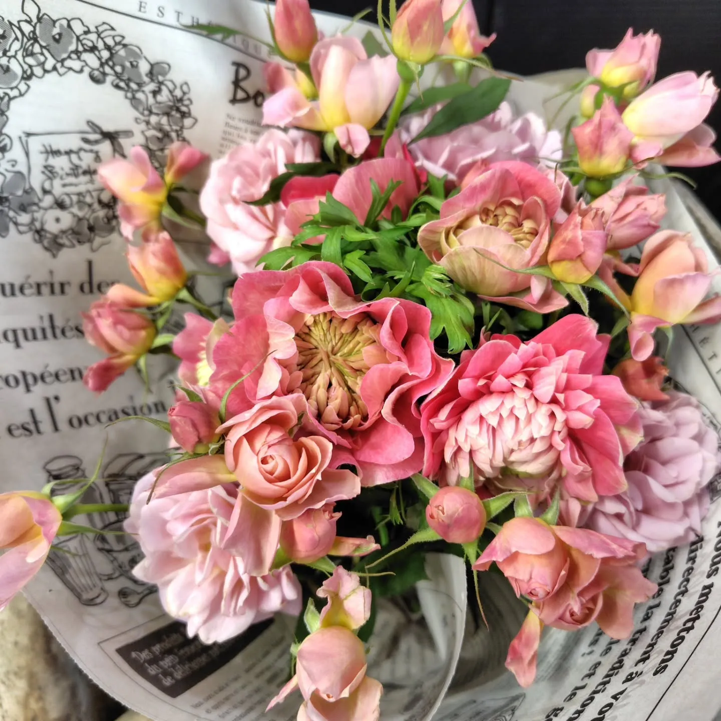 ๐ใใ็ปๅ ดโจๅฎใใใ้กใ่ดใใพใ