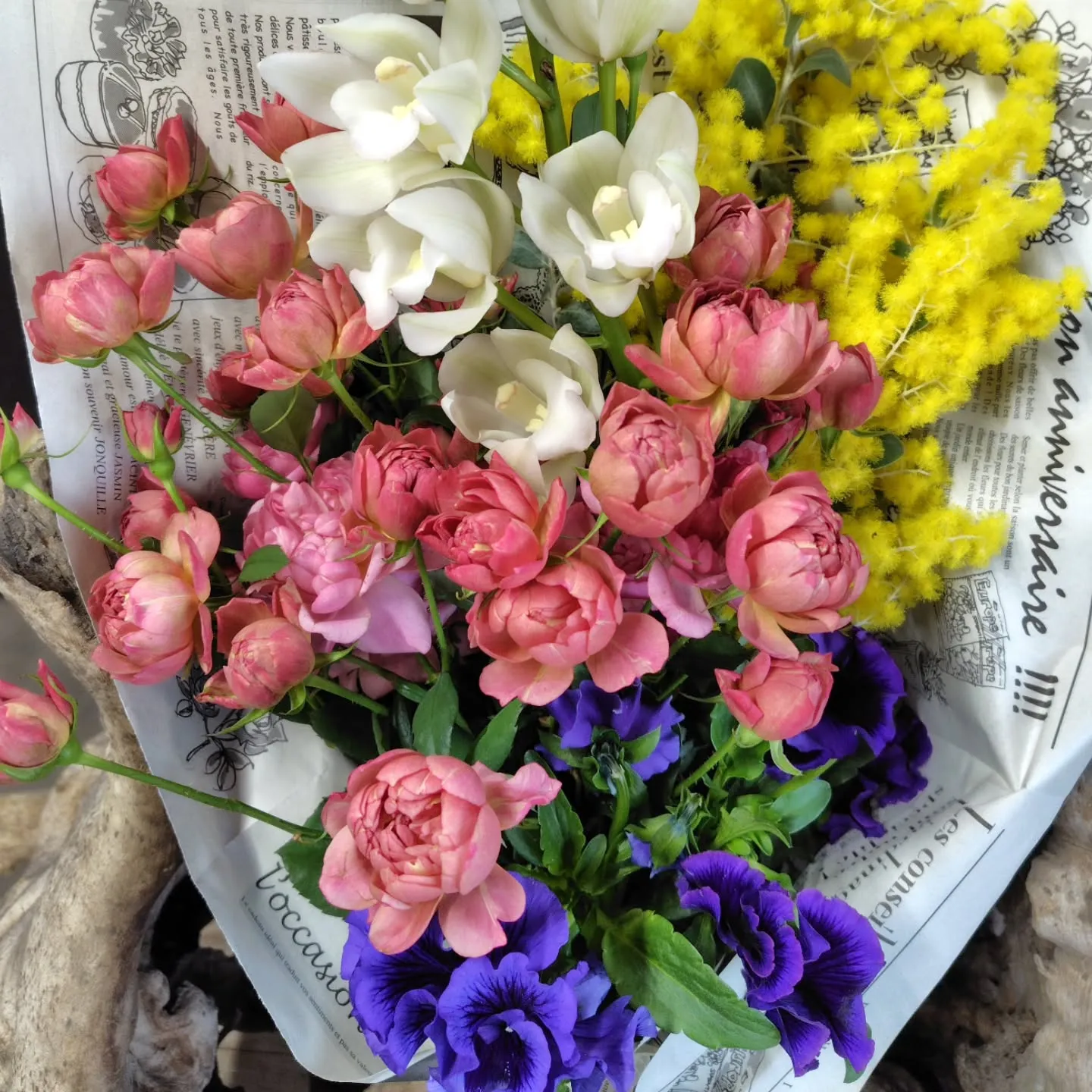 ๐ใใ็ปๅ ดโจๅฎใใใ้กใ่ดใใพใ