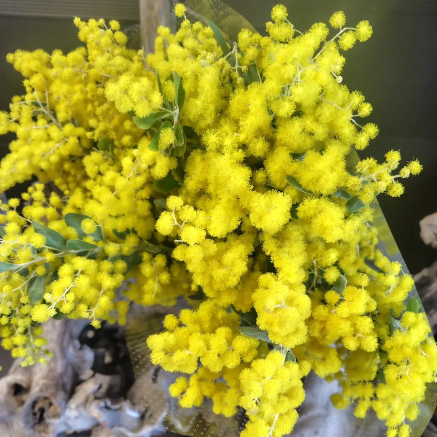 もこもこ🆙で！！