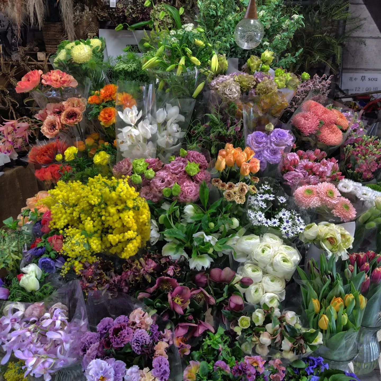 もこもこ🆙で！！