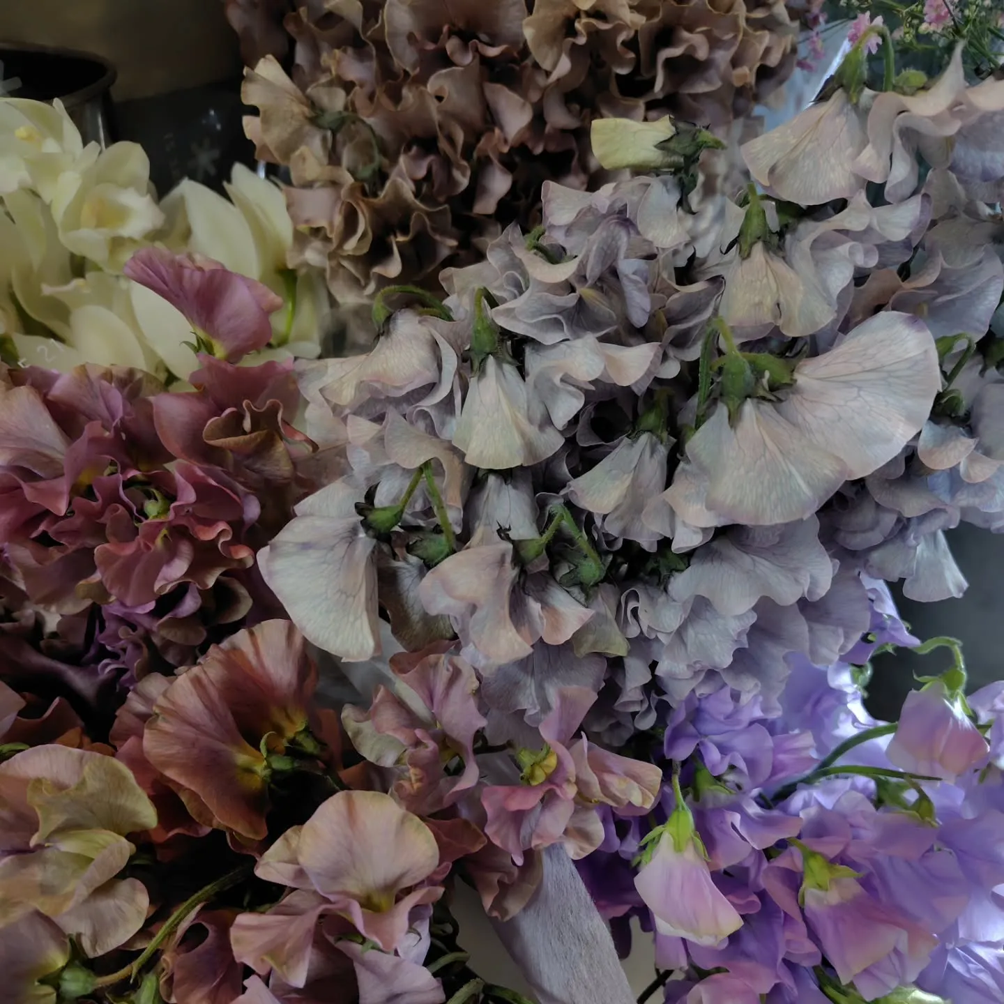 もこもこ🆙で！！