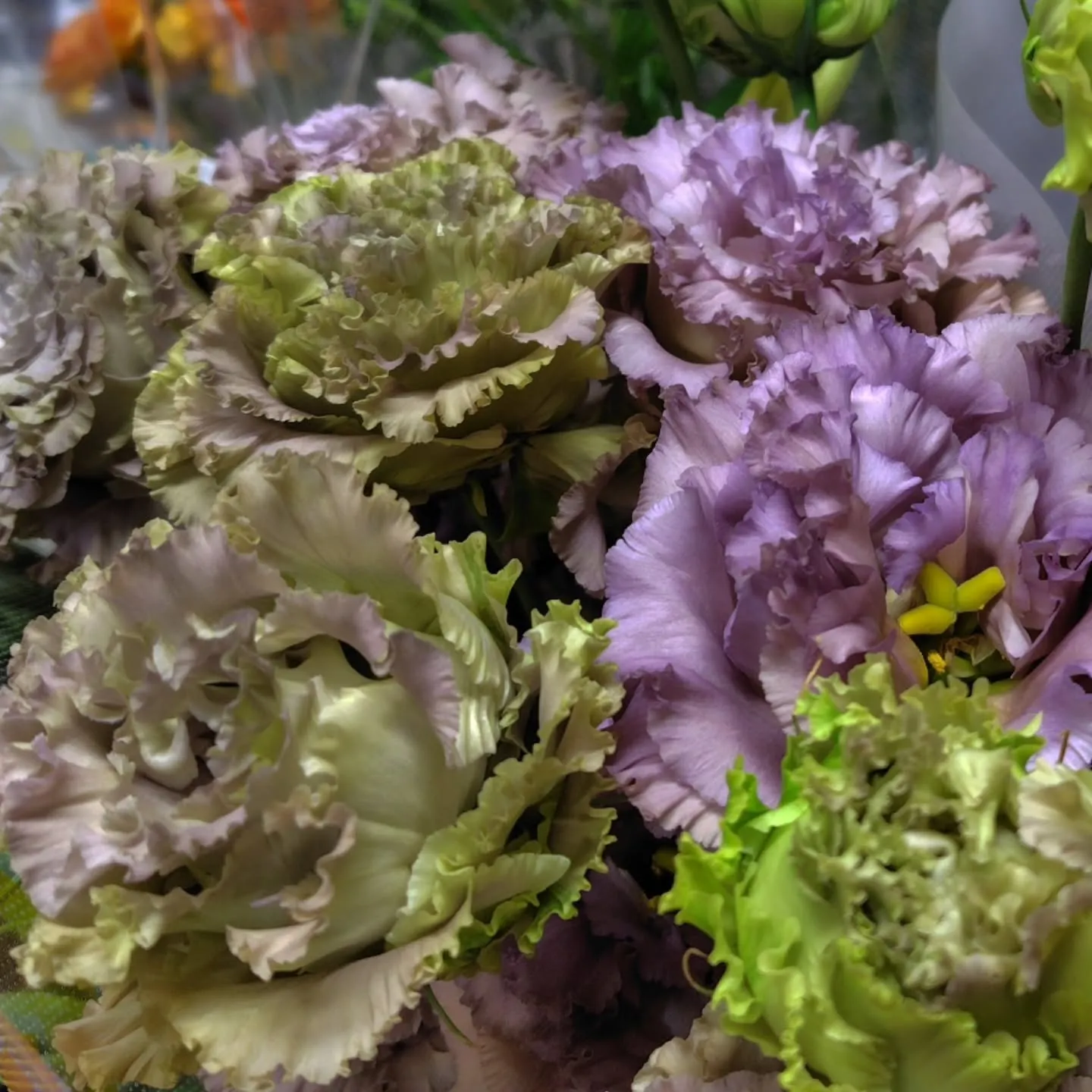 もこもこ🆙で！！