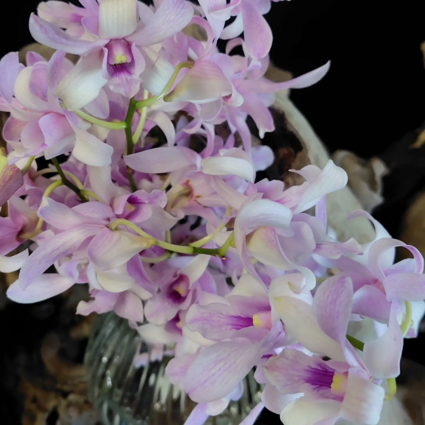 もこもこ🆙で！！