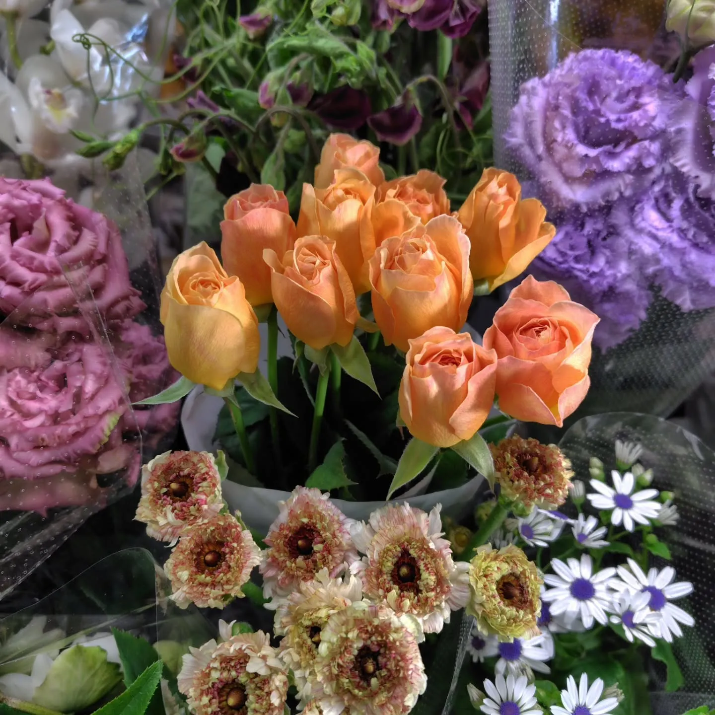 もこもこ🆙で！！