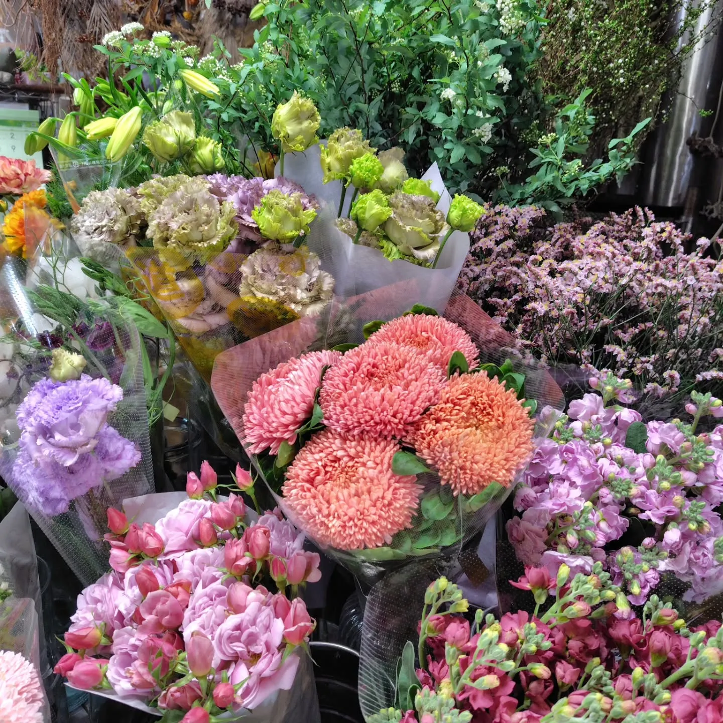 もこもこ🆙で！！