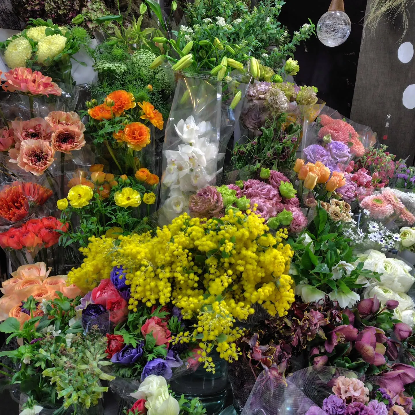 もこもこ🆙で！！