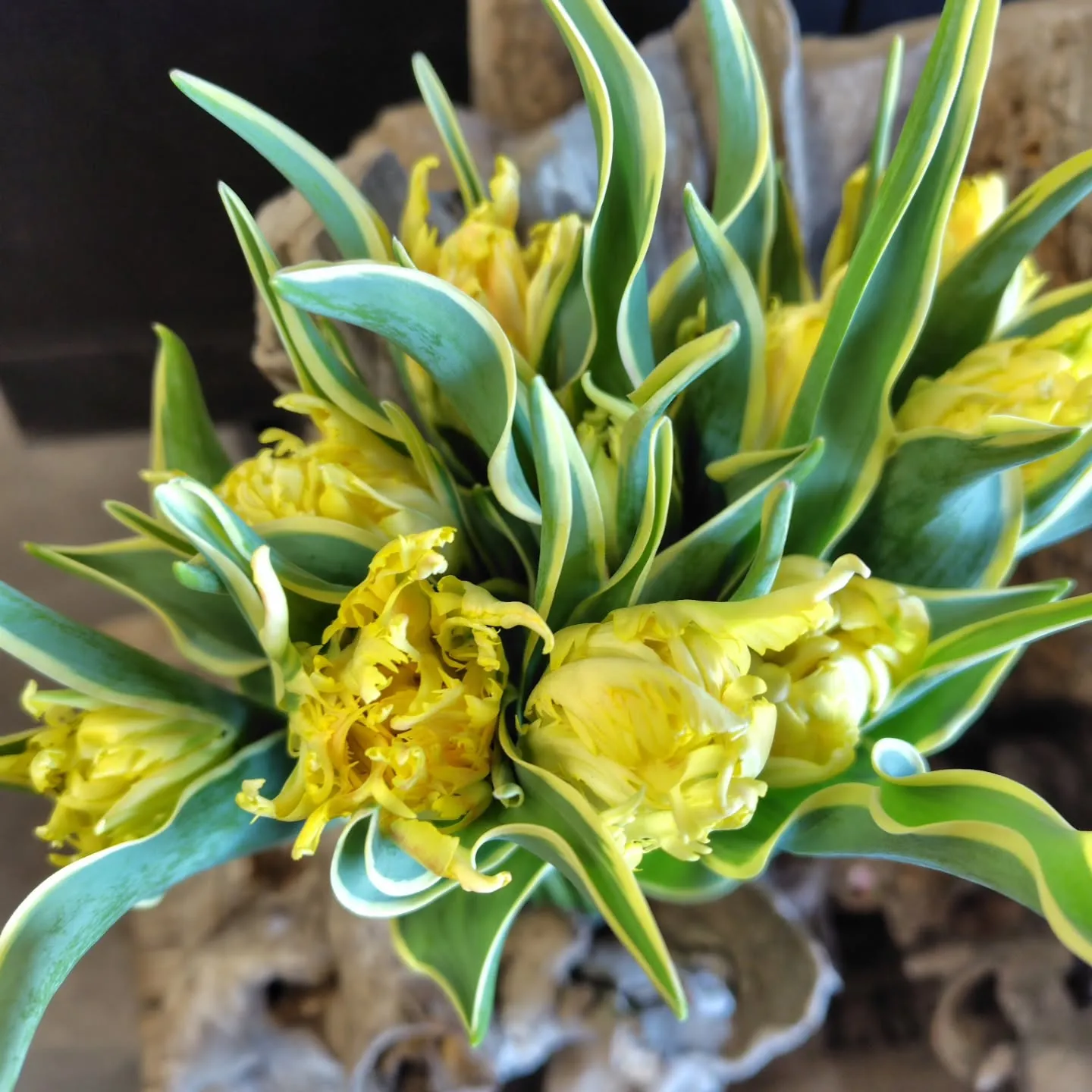 アメージングスパイダー