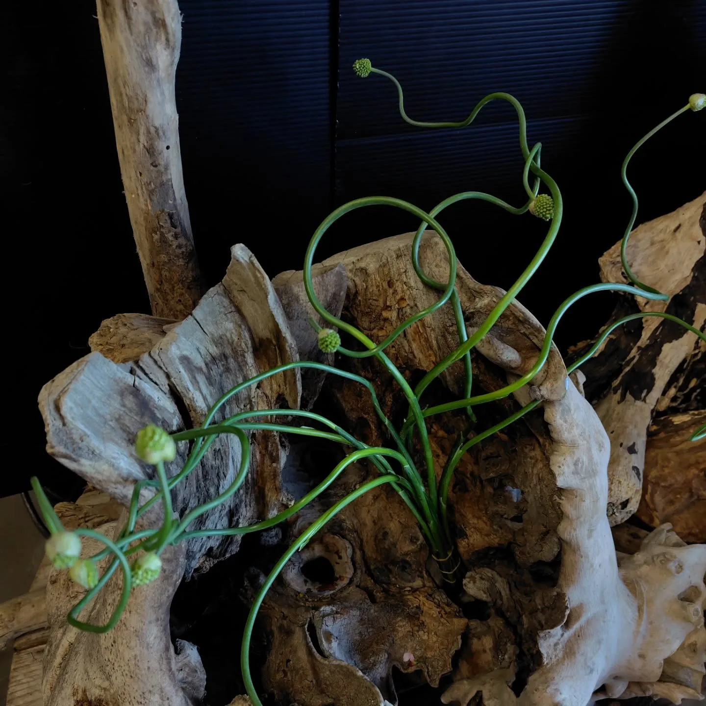 アメージングスパイダー