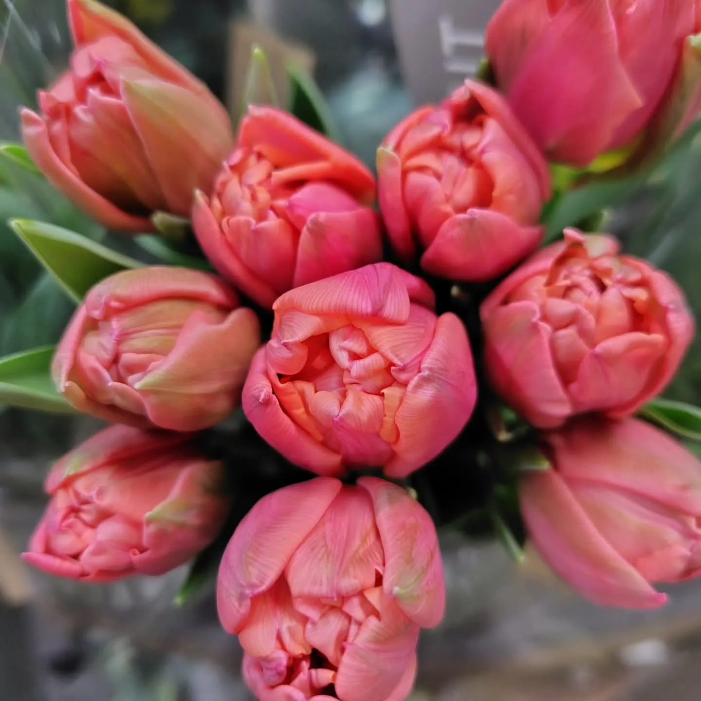 アメージングスパイダー