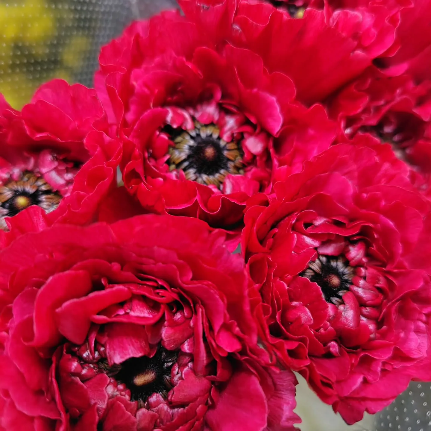 アメージングスパイダー