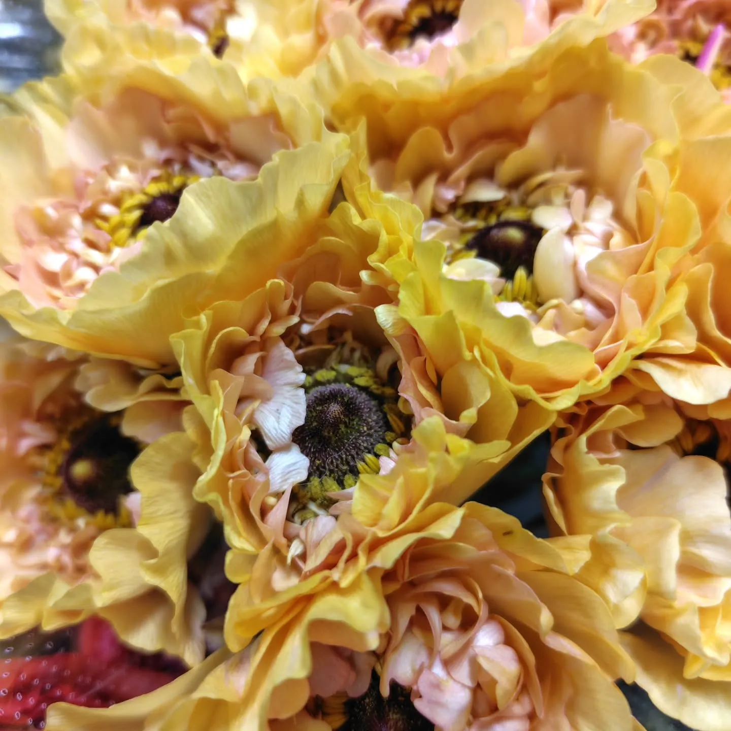 アメージングスパイダー