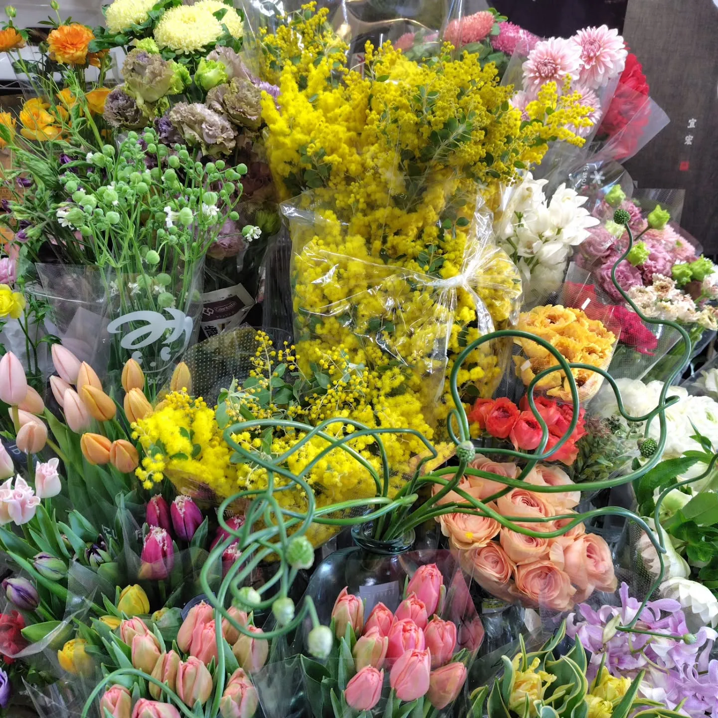 アメージングスパイダー