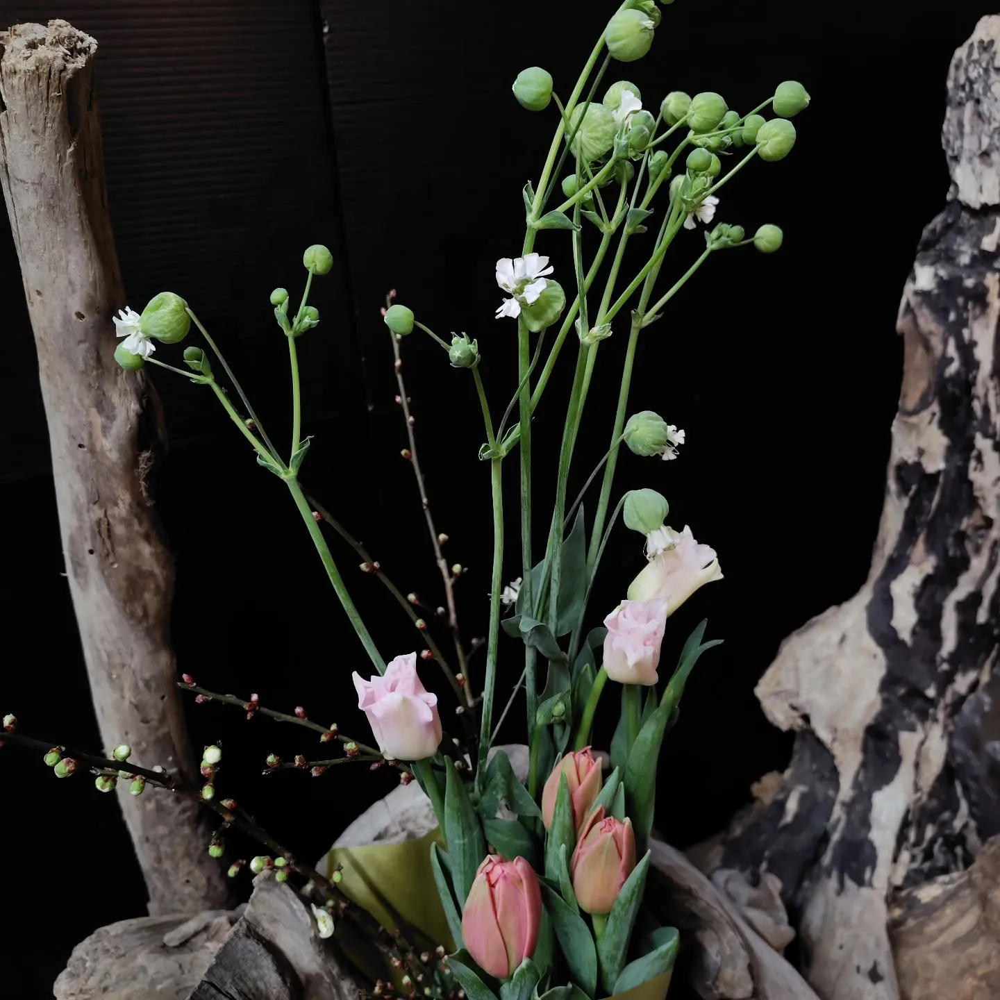 早朝選んで頂けたのは春らしく