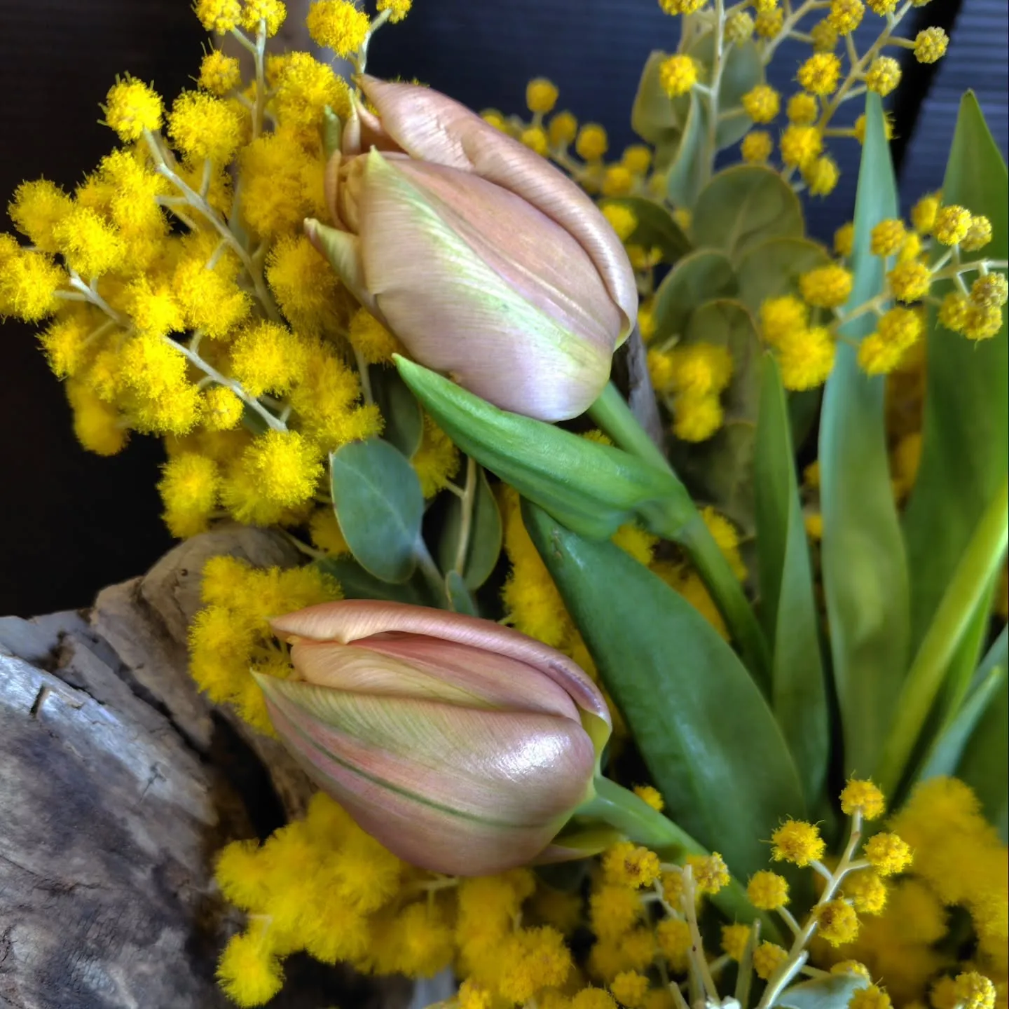 ラベルエポック🤎