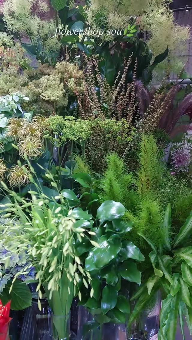 🌿🌿🌿🌿🌿🌿