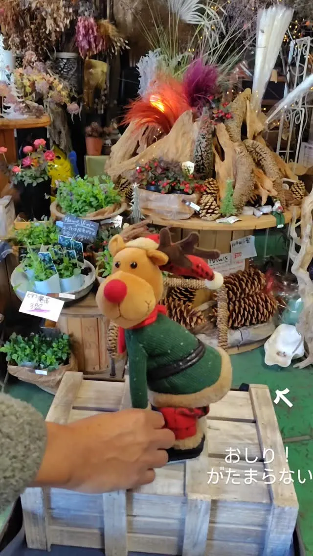 朝から笑ってちょ💚