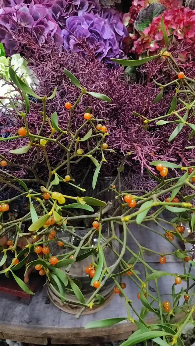 flowershop_sou🌿あさからごきげん💚